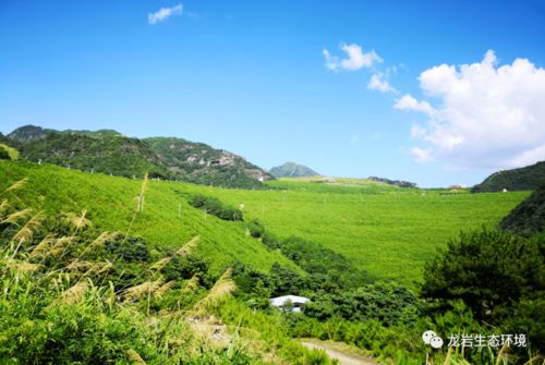 讓每寸土地都有專屬守護(hù)者——上杭縣“土長制”推動土壤精準(zhǔn)修復(fù)紀(jì)實(shí)